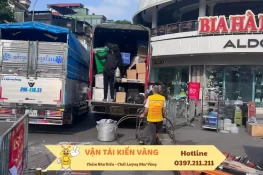 Hướng dẫn vận chuyển cây cảnh khi chuyển nhà an toàn