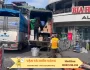 Hướng dẫn vận chuyển cây cảnh khi chuyển nhà an toàn