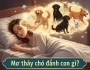 Mơ thấy chó đánh con gì? Giải mã giấc mơ thấy chó may mắn